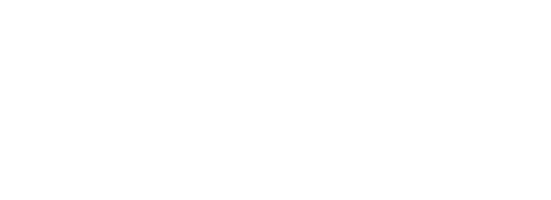 NGCO Company for Security Services